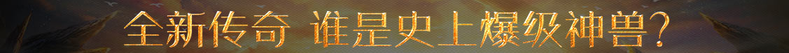 洞察焦點